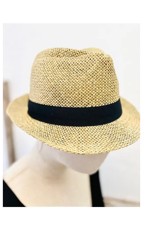 Borsalino Calella